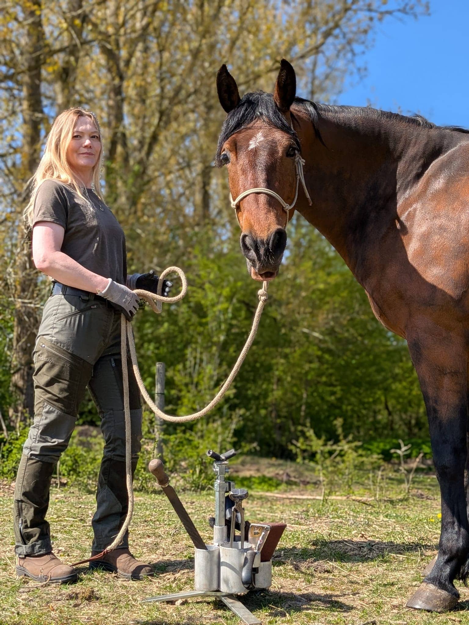 Marlene arbejder roligt med en brun hest